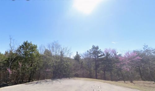 Lot 38 Suntop Ln, Holiday Island, AR, 72631-4426 | Card Image