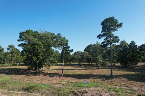 3145 Shadow Pine Dr, LaRue, TX, 75770-1201 | Card Image