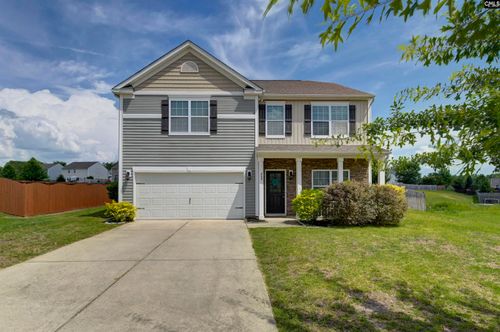 869 Sunseeker Dr, Chapin, SC, 29036-6143 | Card Image