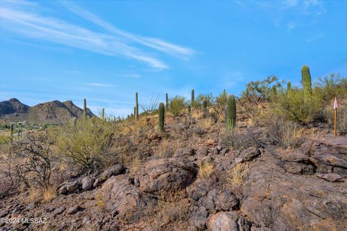 4896 S Cactus Wren Avenue, Tucson, AZ, 85746 | Card Image