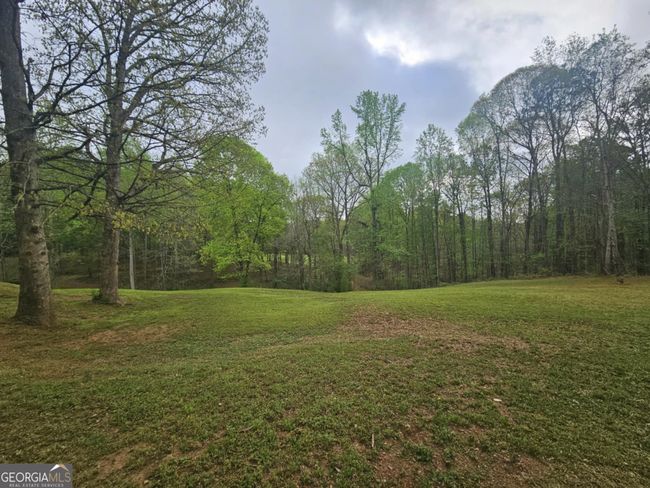 4474 Hollingsworth Ferry Rd, House other with 4 bedrooms, 4 bathrooms and 2 parking in Franklin GA | Image 49