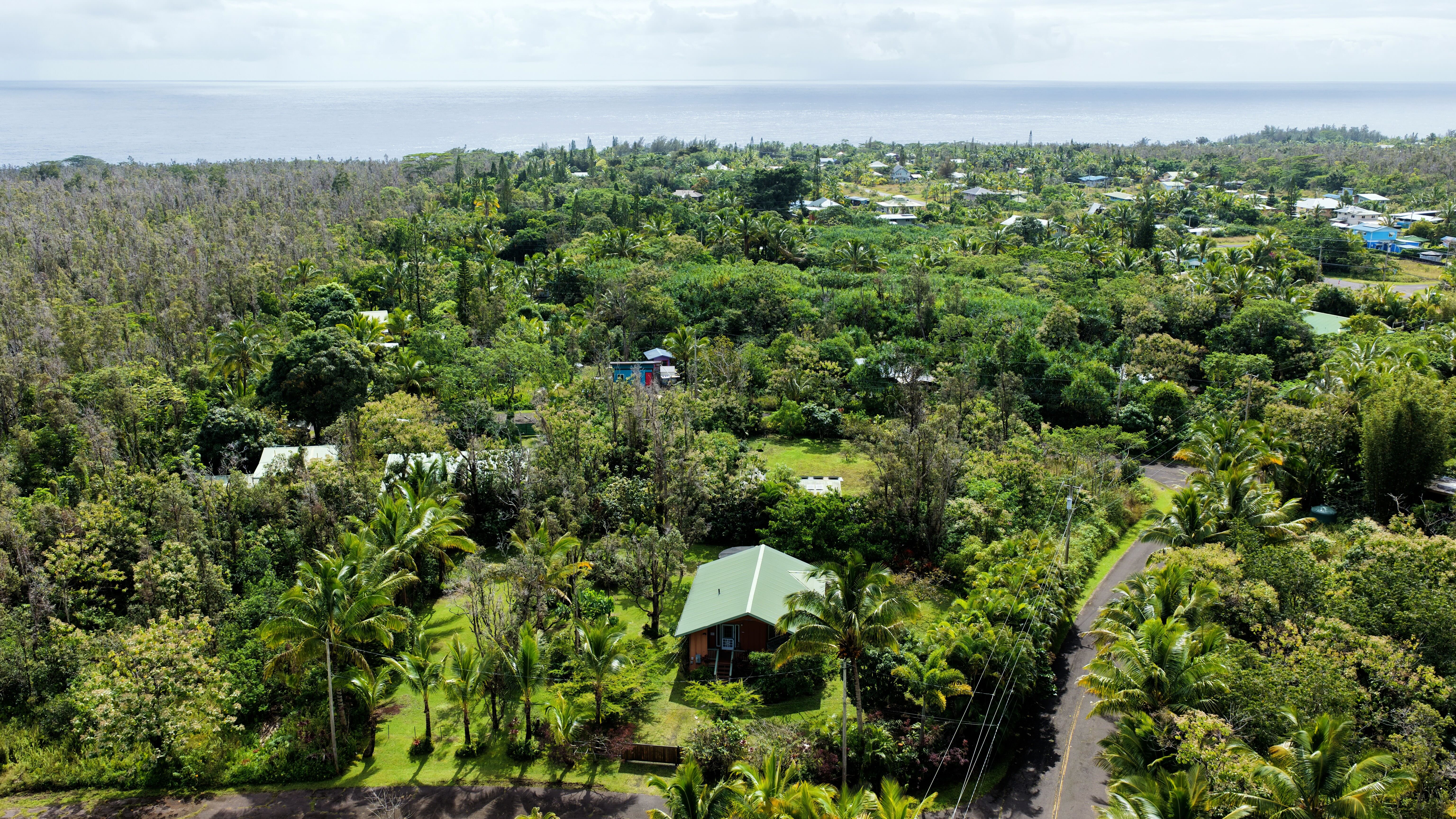 Land in Pahoa 3