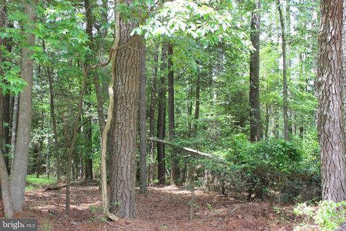 871 Broadside Dr, GREENBACKVILLE, VA, 23356 | Card Image