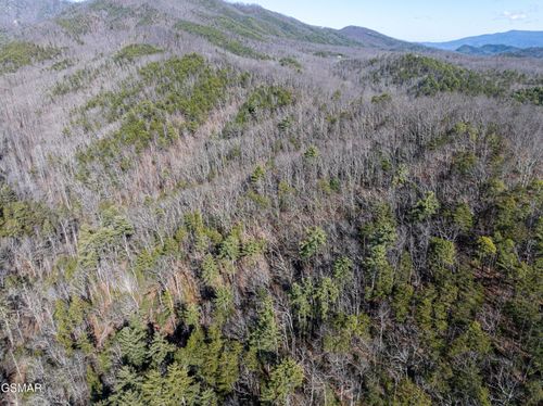 4 Wilhite Road, Sevierville, TN, 37876 | Card Image