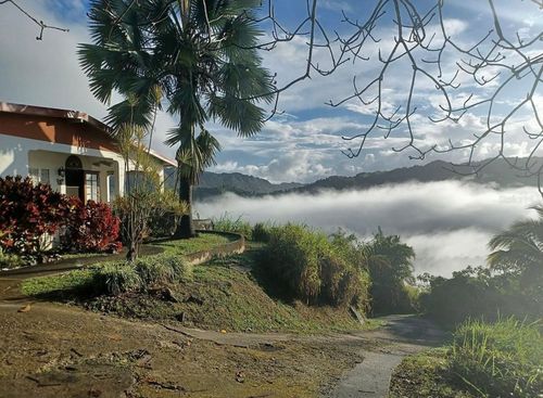 1-612 St. Bo. Don Alonso Sector Bujosa, UTUADO, PR, 00641 | Card Image