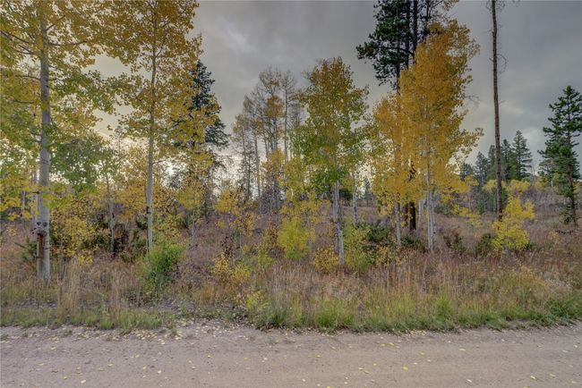 View of nature with a forest view | Image 17
