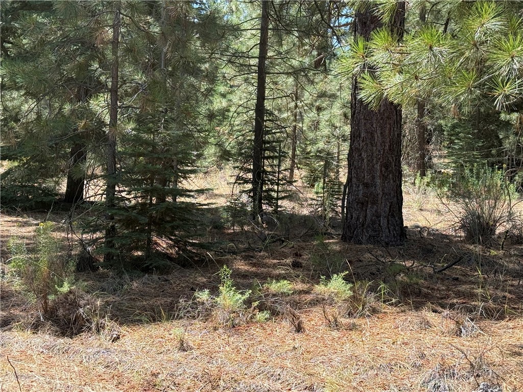 Land in Old Station 5