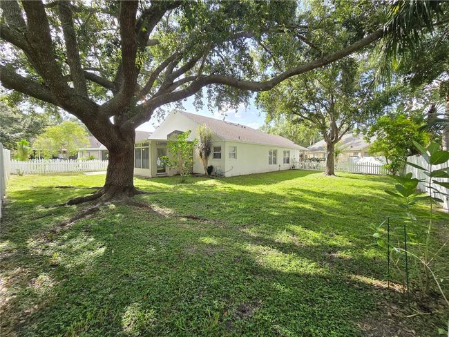 Back yard | Image 31