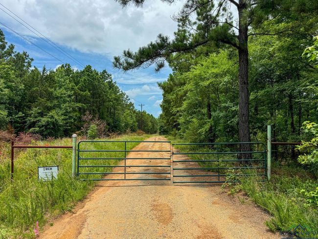 0000 Fm 3421, Home with 0 bedrooms, 0 bathrooms and null parking in Lone Star TX | Image 45