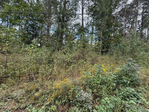 0 Long Leaf Dr, Rocky Face, GA, 30740 | Card Image