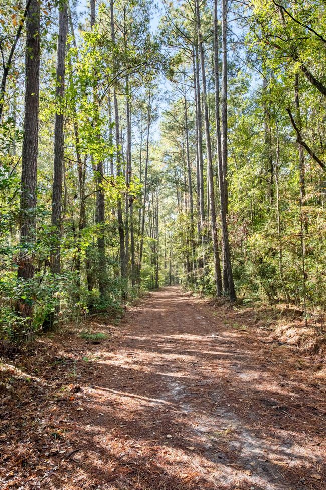 HFL_OSBORNE TRACT-18 | Image 23