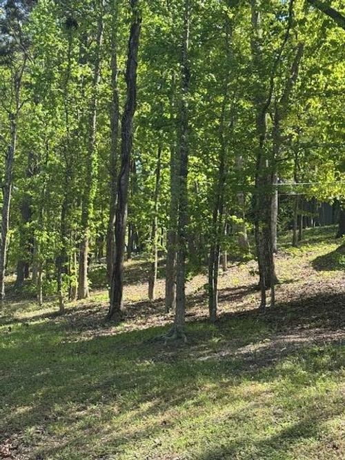 0 Royal Lodge Cir, Warm Springs, GA, 31830 | Card Image