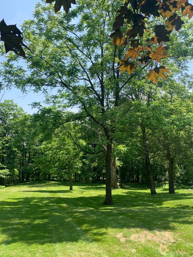12 Old Forge Hollow Rd, House other with 4 bedrooms, 2 bathrooms and null parking in Bantam CT | Image 10