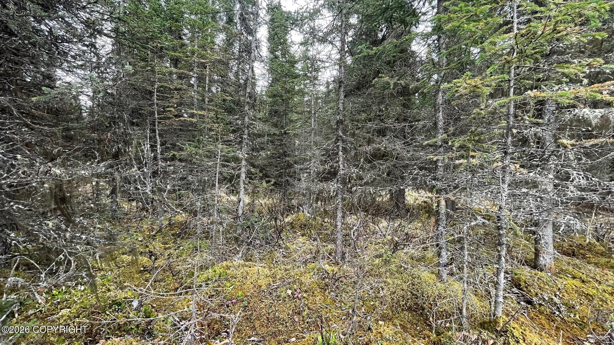 Land in Soldotna