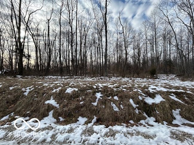 West Side Of Road View | Image 8