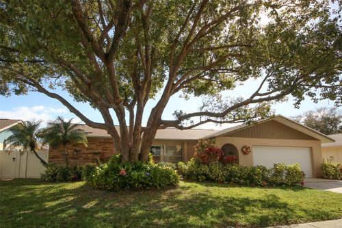 45 Turnstone Dr, SAFETY HARBOR, FL, 34695-5329 | Card Image