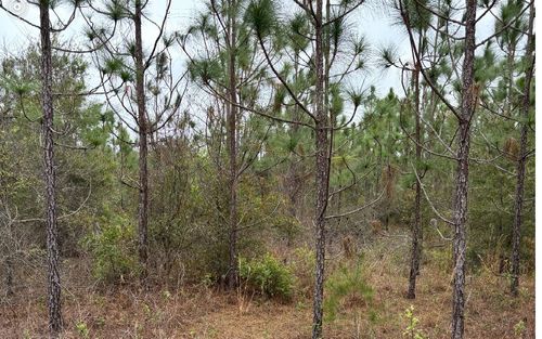 6073 Sw 55th Ave, Jasper, FL, 32052-4829 | Card Image