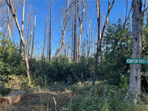 0 Bay Ranch Rd, Berry Creek, CA, 95916 | Card Image