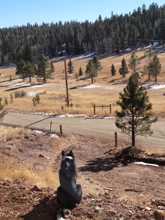 298 Highway 127, House other with 2 bedrooms, 3 bathrooms and null parking in Eagle Nest NM | Image 16