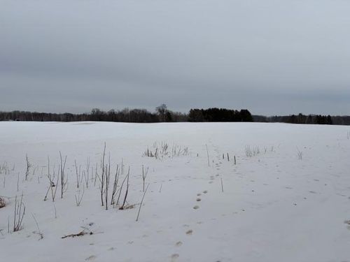 20XX Quail St, Mora, MN, 55051 | Card Image