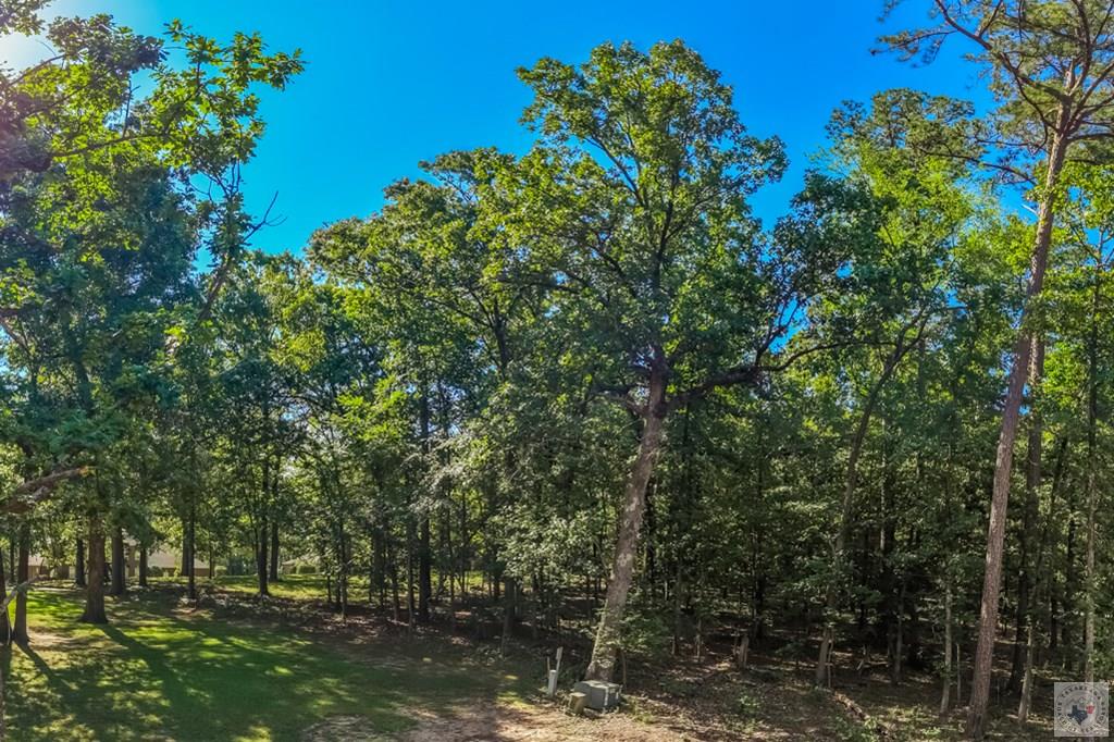 Land in Texarkana 3