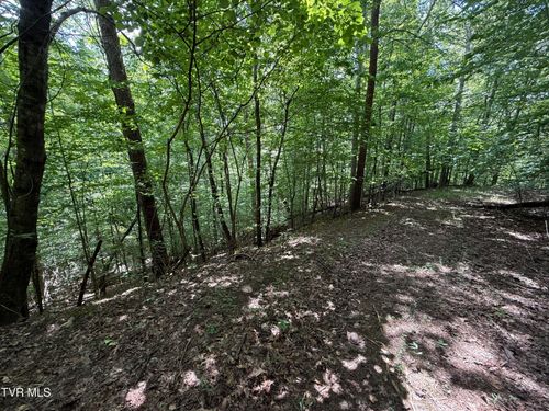 Tbd Mossy Hollow Road, Baneberry, TN, 37890 | Card Image