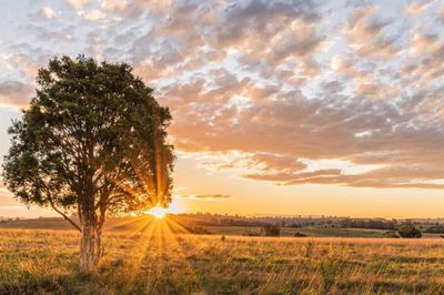 Enjoy the country sunsets! | Image 3