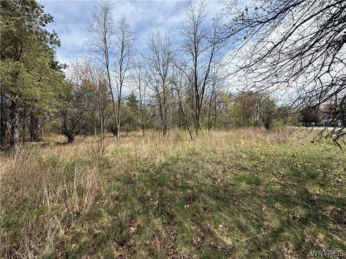 1537-1557 Braley Rd, Youngstown, NY, 14174-9798 | Card Image