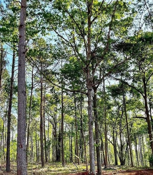 1660 Watkins Farm Rd, Nicholson, GA, 30565-2625 | Card Image