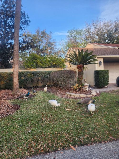 104 Juniper Ln, Longwood, FL, 32779-4909 | Card Image