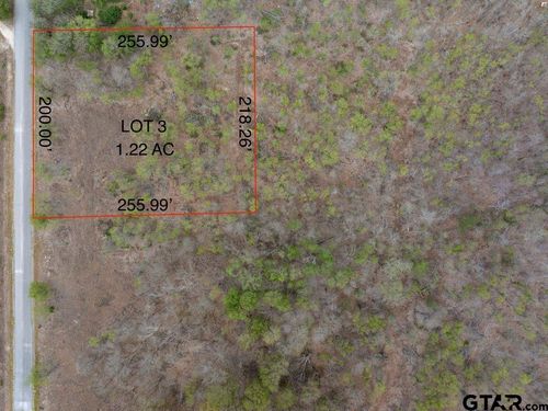Lot 3 Tatum Rd, Martindale, TX, 78655 | Card Image