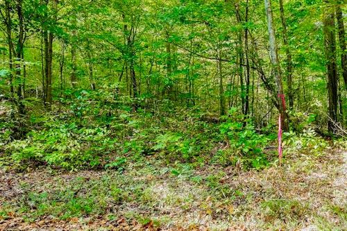 00 Bolestown Loop, Alpine, TN, 38543 | Card Image