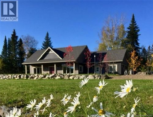 {{alt}} | Card Image