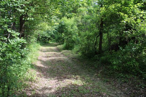 3131 Old Otis Rd, Danby, VT, 05739-9445 | Card Image