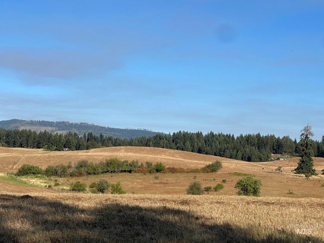 181 Harris Ridge Loop, House other with 3 bedrooms, 3 bathrooms and 2 parking in Kooskia ID | Image 5