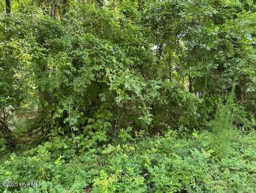 1-B Newby Bay Dr, Hertford, NC, 27944 | Card Image