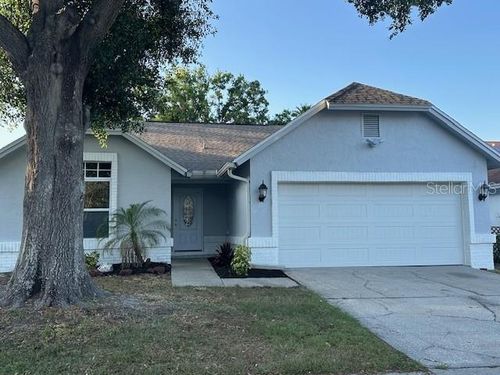 10906 Carnelian Ln, RIVERVIEW, FL, 33578-3914 | Card Image