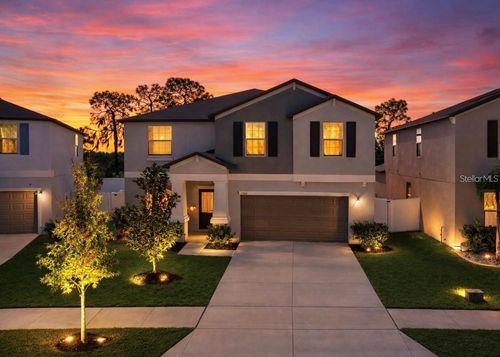 12841 Wildflower Meadow Dr, RIVERVIEW, FL, 33579-8801 | Card Image