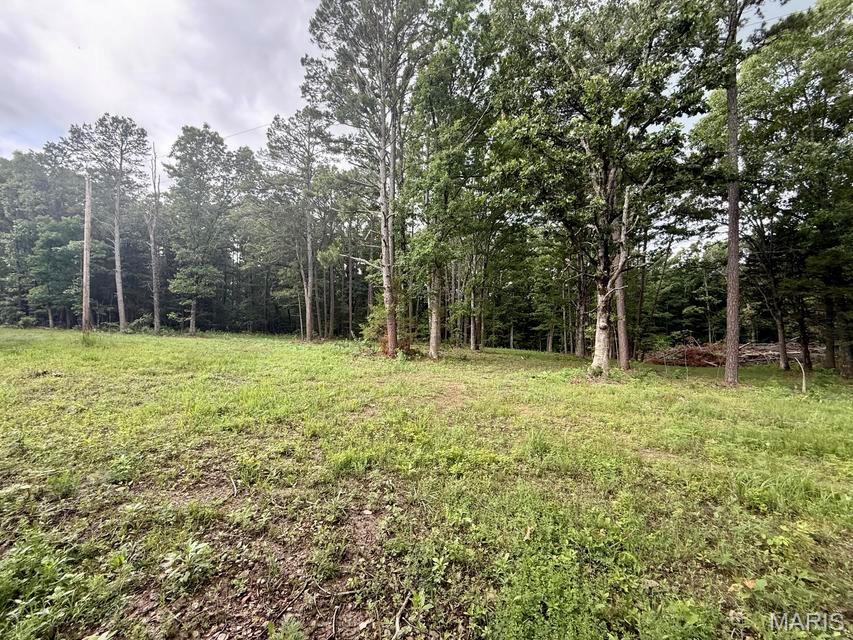 Land in Licking 3