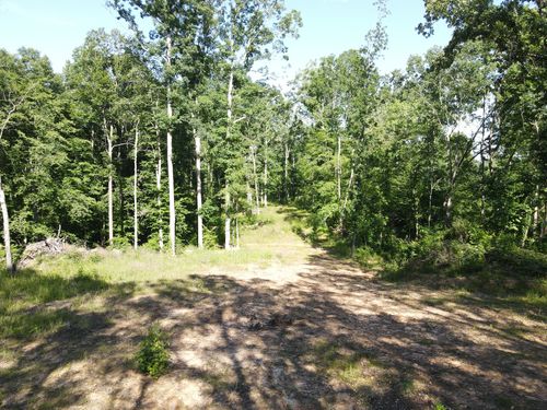 3 Copper Spring Rd, Springville, TN, 38256-5422 | Card Image