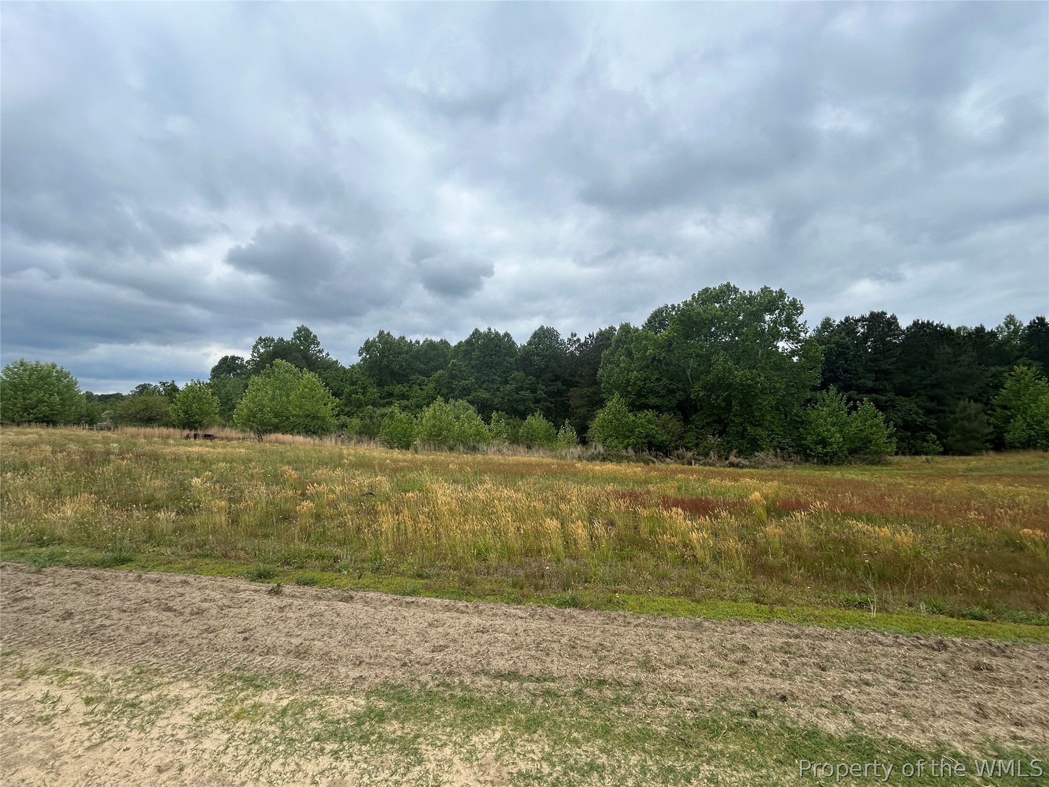 Land in Williamsburg 5