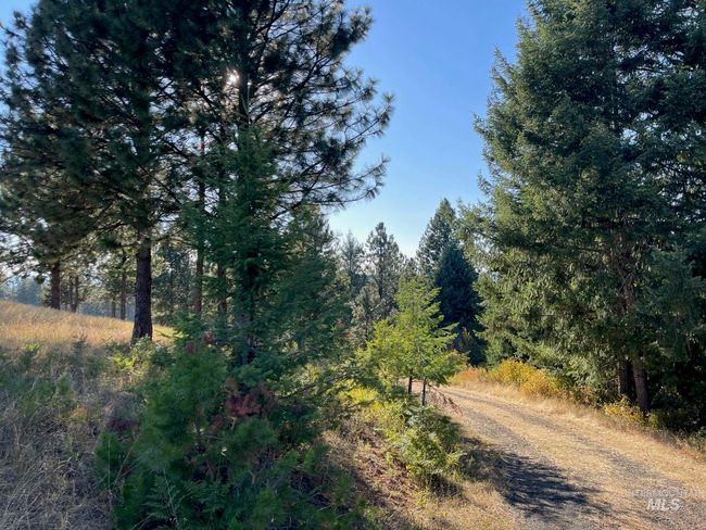 181 Harris Ridge Loop, House other with 3 bedrooms, 3 bathrooms and 2 parking in Kooskia ID | Image 47