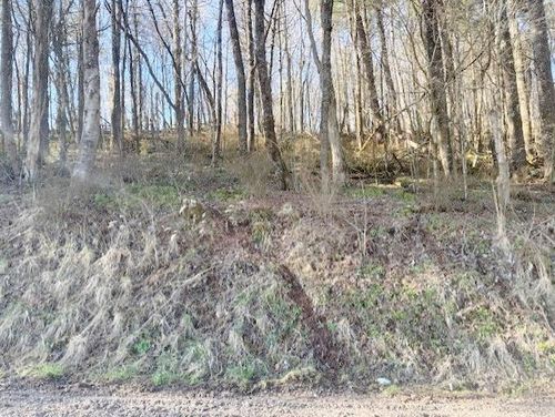 TBD Old King Rd, Rural Retreat, VA, 24368 | Card Image