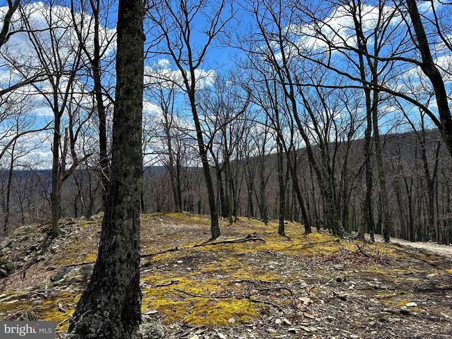 19 Homes At Timber Knl, House other with 4 bedrooms, 3 bathrooms and null parking in Scherr WV | Image 85