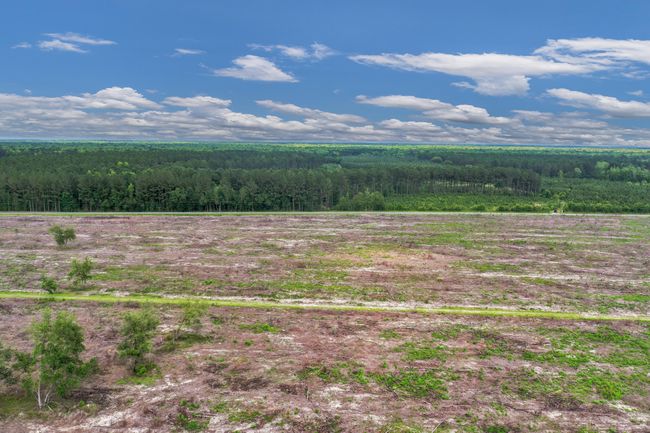 DJI_0488 | Image 13