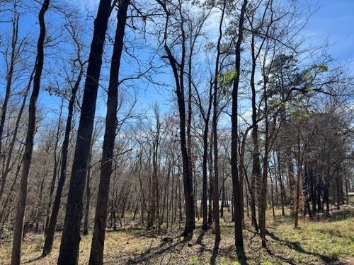 TBD Anderson County Rd. 319, Frankston, TX, 75763 | Card Image