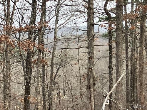 209 Madison Cr 410, Fredericktown, MO, 63645 | Card Image