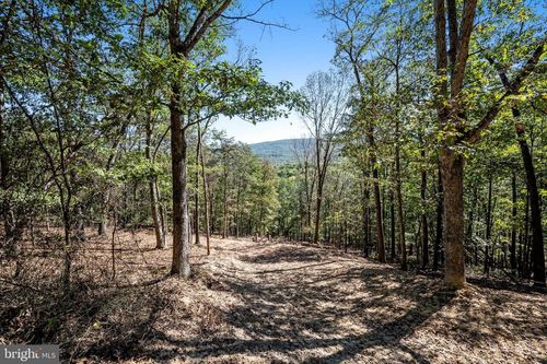 LOT 6 Back Creek Rd, GORE, VA, 22637 | Card Image