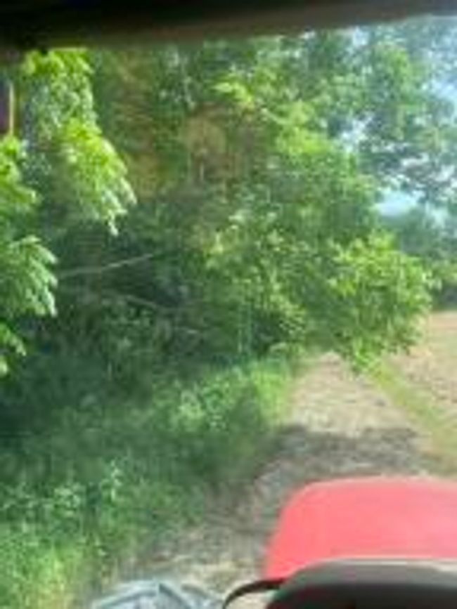 tree lines over lot of the farm | Image 14