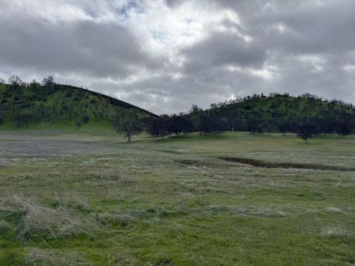 4289 Sites Lodoga Rd, Stonyford, CA, 95979-9711 | Card Image